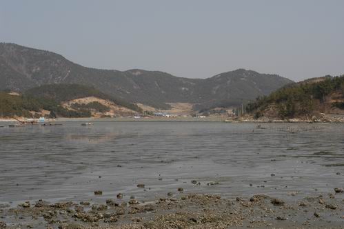 사곡리의 보물단지 '갯벌', 갯것을 팔아 불우이웃도 돕고 마을경비로도 쓴다. 